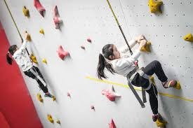 详解棒球规则中的“打者干扰”判定当球棒击中捕手手套